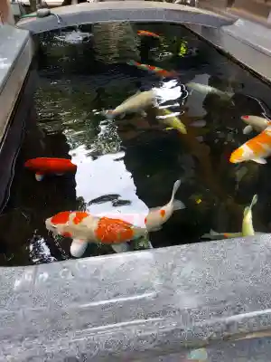 大聖観音寺（あびこ観音）(大阪府)