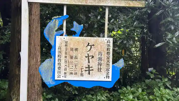 青海神社(福井県)