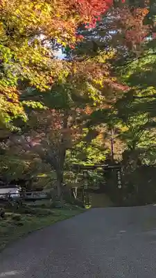 古知谷阿弥陀寺(京都府)