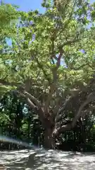 相馬神社の自然