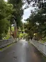 大瀧神社の{uncategorized: "未分類", other: "その他", undefined: "問題あり", building: "その他建物", grave: "お墓", sacred_gate: "鳥居", guardian: "狛犬", statue: "像", buddha: "仏像", history: "歴史", nature: "自然", garden: "庭園", animal: "動物", pagoda: "塔", temizu: "手水舎", mountain_gate: "山門・神門", sanctuary: "本殿・本堂", subordinate: "末社・摂社", art: "芸術", scenery: "景色", jizo: "地蔵", ema: "絵馬", goshuin: "御朱印", omikuji: "おみくじ", items: "授与品その他", amulet: "お守り", goshuincho: "御朱印帳", eats: "食事", festival: "お祭り", votive_dance: "神楽", shichigosan: "七五三参", wedding: "結婚式", experience: "体験その他", initially: "初詣", around: "周辺", anti_infection: "感染症対策"}