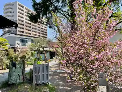 蓮華寺(福島県)