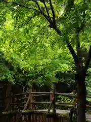 鳥取東照宮（樗谿神社）の自然