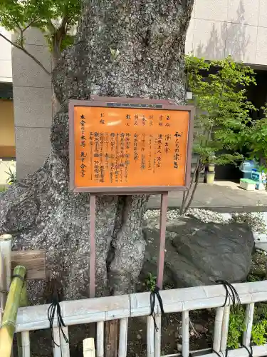 大光院の{uncategorized: "未分類", other: "その他", undefined: "問題あり", building: "その他建物", grave: "お墓", sacred_gate: "鳥居", guardian: "狛犬", statue: "像", buddha: "仏像", history: "歴史", nature: "自然", garden: "庭園", animal: "動物", pagoda: "塔", temizu: "手水舎", mountain_gate: "山門・神門", sanctuary: "本殿・本堂", subordinate: "末社・摂社", art: "芸術", scenery: "景色", jizo: "地蔵", ema: "絵馬", goshuin: "御朱印", omikuji: "おみくじ", items: "授与品その他", amulet: "お守り", goshuincho: "御朱印帳", eats: "食事", festival: "お祭り", votive_dance: "神楽", shichigosan: "七五三参", wedding: "結婚式", experience: "体験その他", initially: "初詣", around: "周辺", anti_infection: "感染症対策"}