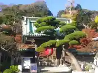 長谷寺の山門・神門