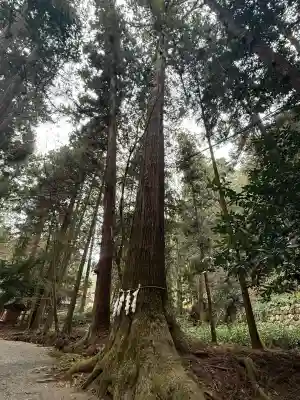 日吉大社(滋賀県)