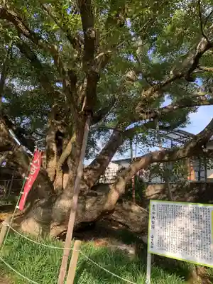 大智院（清水寺大智院）(愛知県)