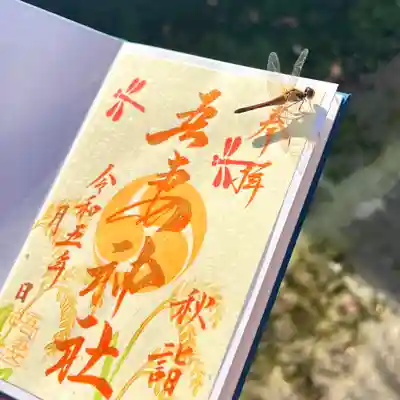 撮影中に偶然トンボがとまり、すごくいい写真が撮れました😊