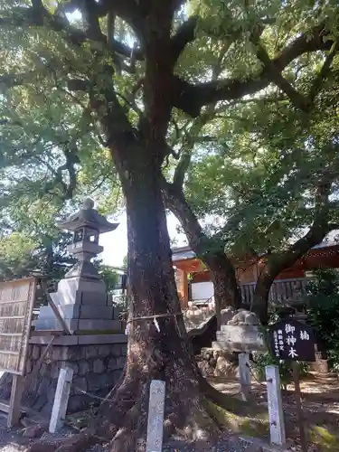 加納天満宮の自然