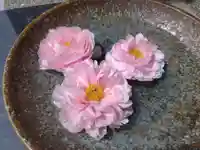 安養寺(福井県)