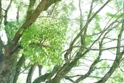 祇園神社(兵庫県)