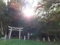 倉澤神社の鳥居