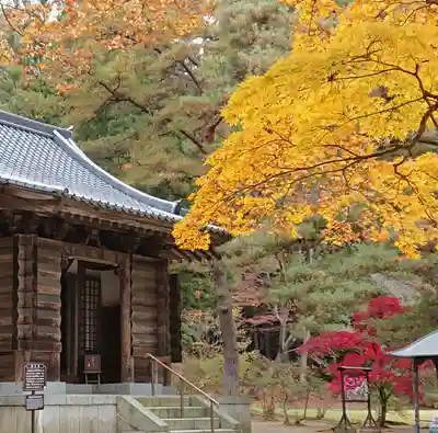 毛越寺の本殿・本堂