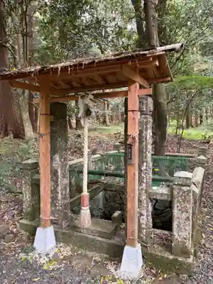 兵主神社の自然
