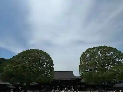 明治神宮(東京都)