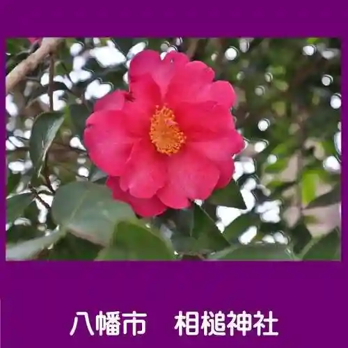 相槌神社の自然