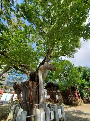 阿邪訶根神社の自然