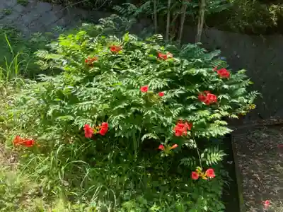 天台宗　長窪山　正覚寺の自然