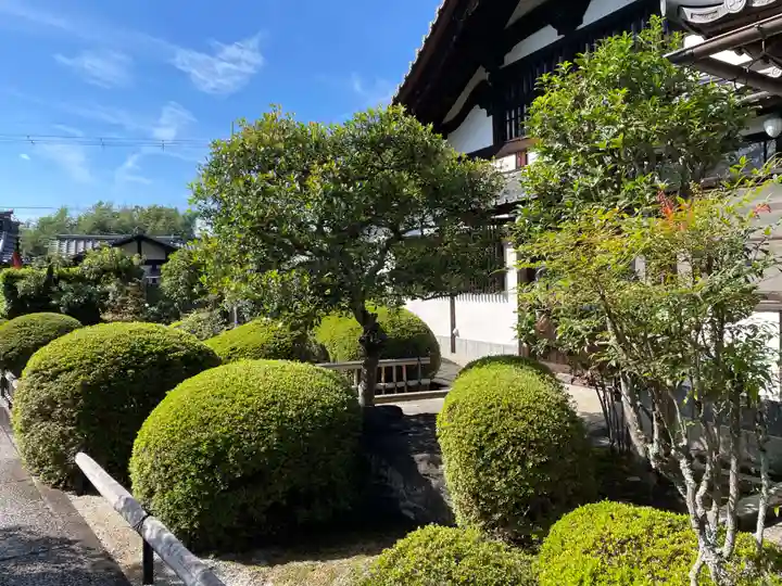 榮攝院(栄摂院)(京都府)