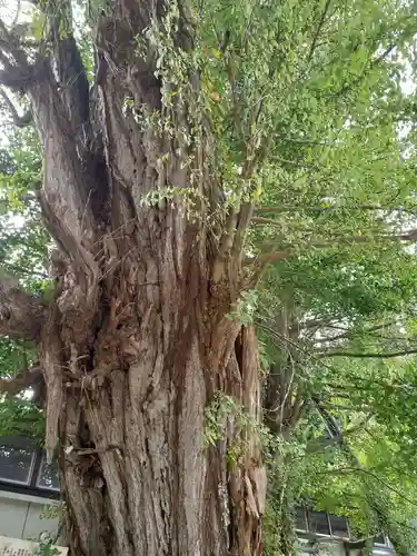 信正寺(秋田県)