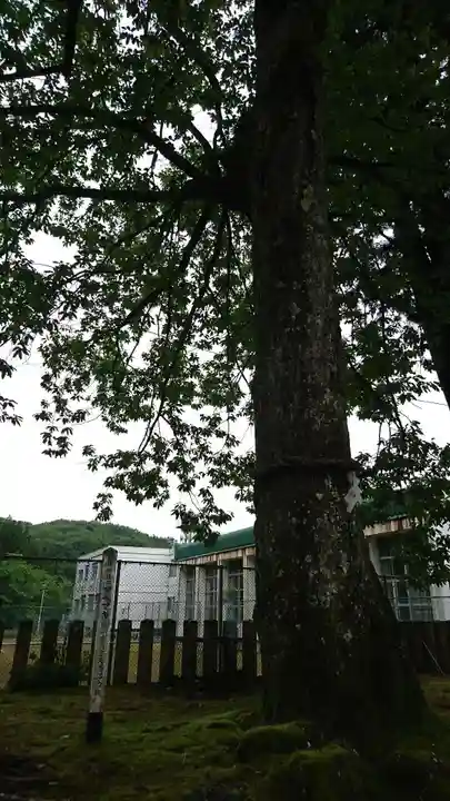 高雄神社の自然