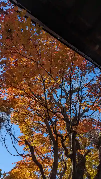 浄土院(京都府)