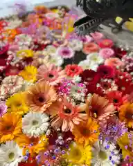 札幌諏訪神社の手水