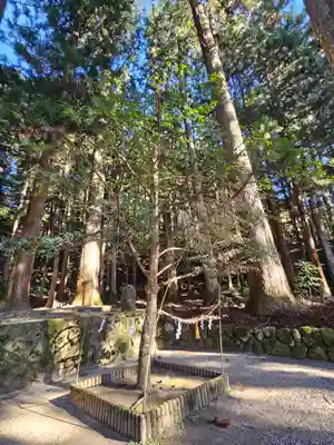 室生龍穴神社(奈良県)
