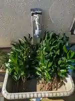 伏木香取神社(茨城県)