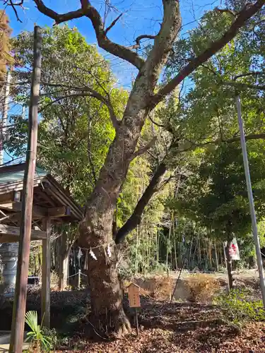 鷲神社(茨城県)