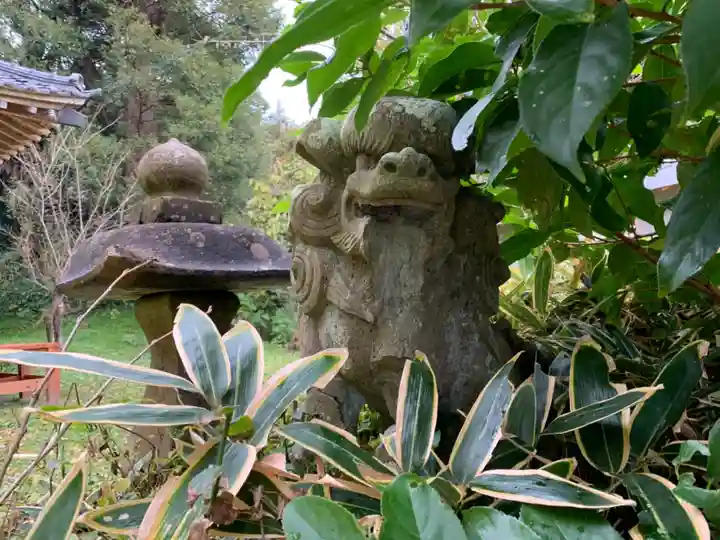 八雲神社の狛犬