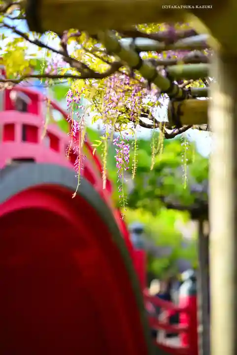 亀戸天神社(東京都)