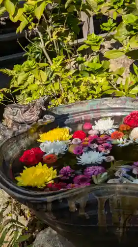 清凉院(京都府)