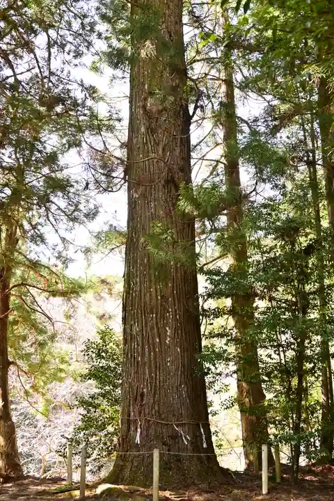 三社神社(愛媛県)