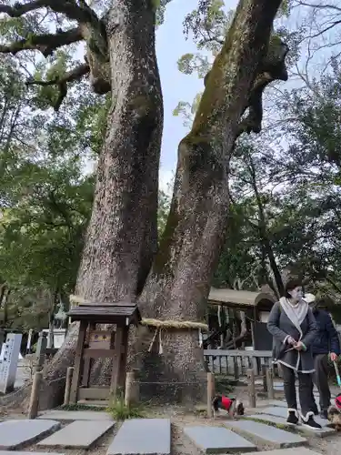 伊弉諾神宮(兵庫県)