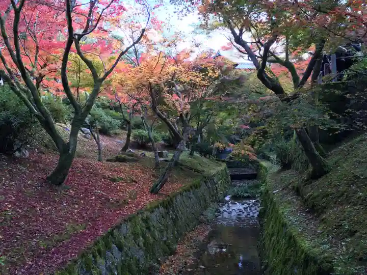 東福禅寺(東福寺)の周辺