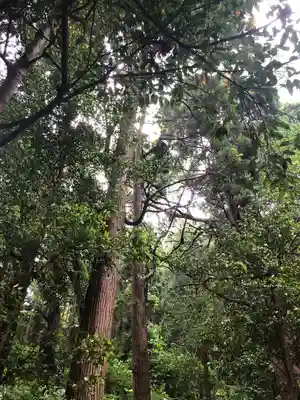 石體神社の自然