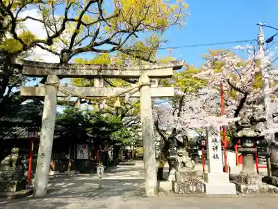 八坂神社の鳥居
