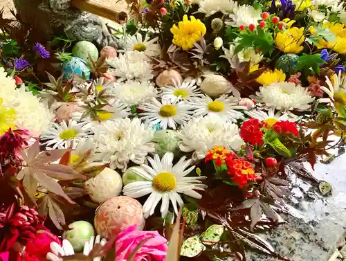 滑川神社 - 仕事と子どもの守り神の手水