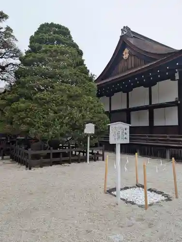 賀茂御祖神社（下鴨神社）(京都府)