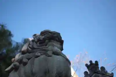 加納天満宮の狛犬