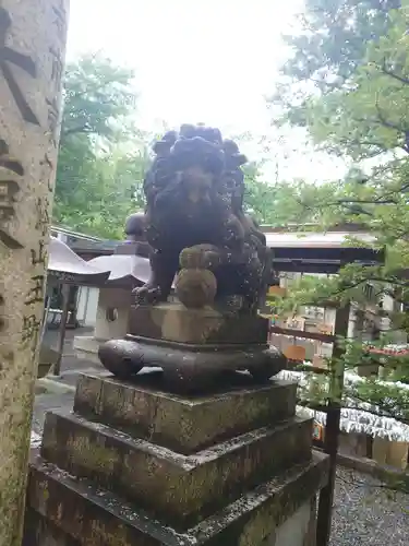 荒木神社の狛犬