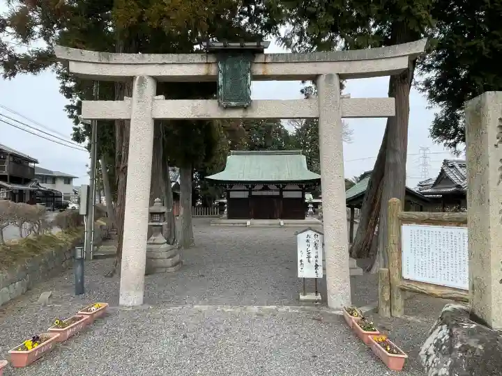 總社神社の{uncategorized: "未分類", other: "その他", undefined: "問題あり", building: "その他建物", grave: "お墓", sacred_gate: "鳥居", guardian: "狛犬", statue: "像", buddha: "仏像", history: "歴史", nature: "自然", garden: "庭園", animal: "動物", pagoda: "塔", temizu: "手水舎", mountain_gate: "山門・神門", sanctuary: "本殿・本堂", subordinate: "末社・摂社", art: "芸術", scenery: "景色", jizo: "地蔵", ema: "絵馬", goshuin: "御朱印", omikuji: "おみくじ", items: "授与品その他", amulet: "お守り", goshuincho: "御朱印帳", eats: "食事", festival: "お祭り", votive_dance: "神楽", shichigosan: "七五三参", wedding: "結婚式", experience: "体験その他", initially: "初詣", around: "周辺", anti_infection: "感染症対策"}