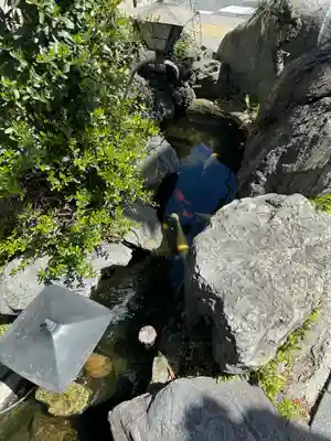 桜神宮(東京都)