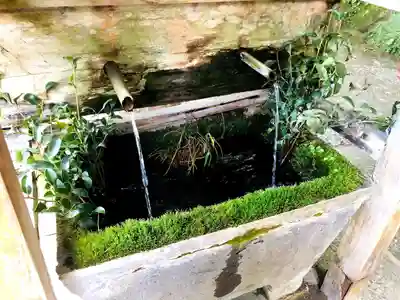 国造神社の手水舎