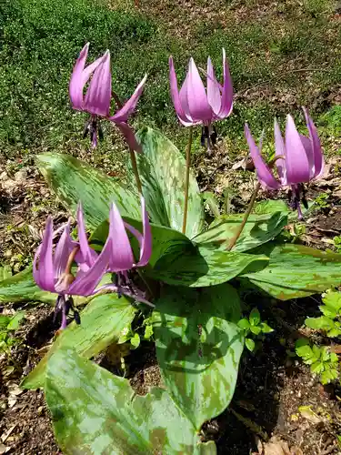 三春大神宮(福島県)