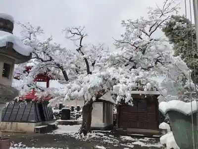 大蔵院(群馬県)