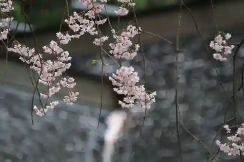 王宮伊豆神社の自然
