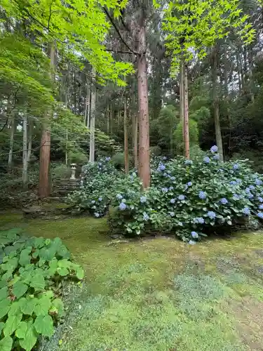 三角寺(愛媛県)
