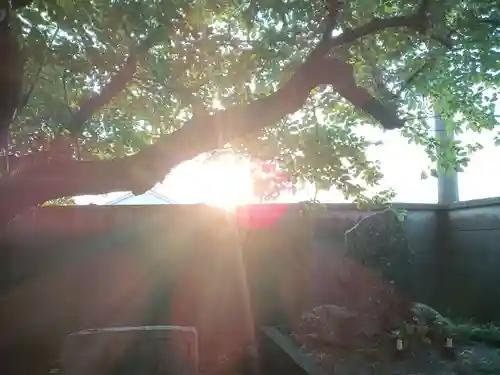 岡山戎神社のその他建物